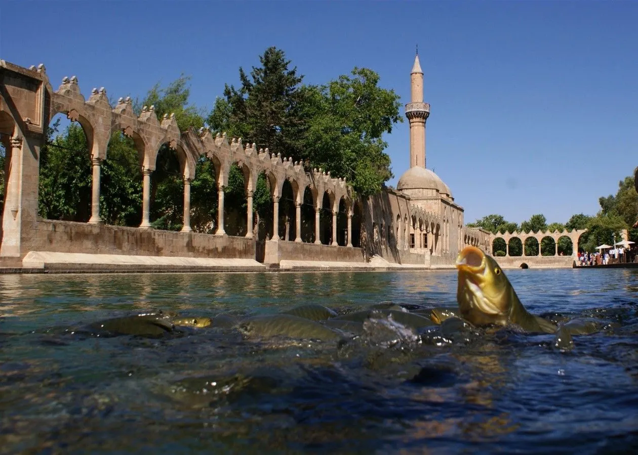 Şanlıurfa’da Balıklıgöl Hareketliliği
