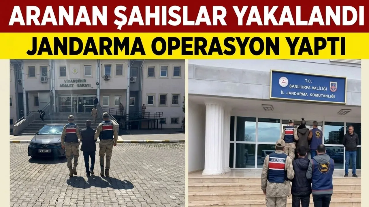 ŞANLIURFA JANDARMADAN OPERASYON