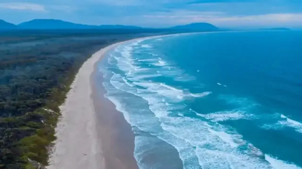 AVUSTRALYA’DA ÜCRA PLAJDA KÖPEKBALIĞI DEHŞETİ