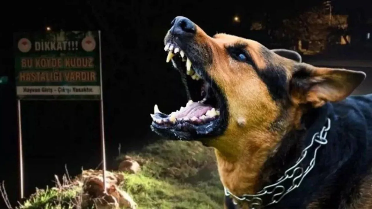 Kuduz Vakası Ölümle Sonuçlandı