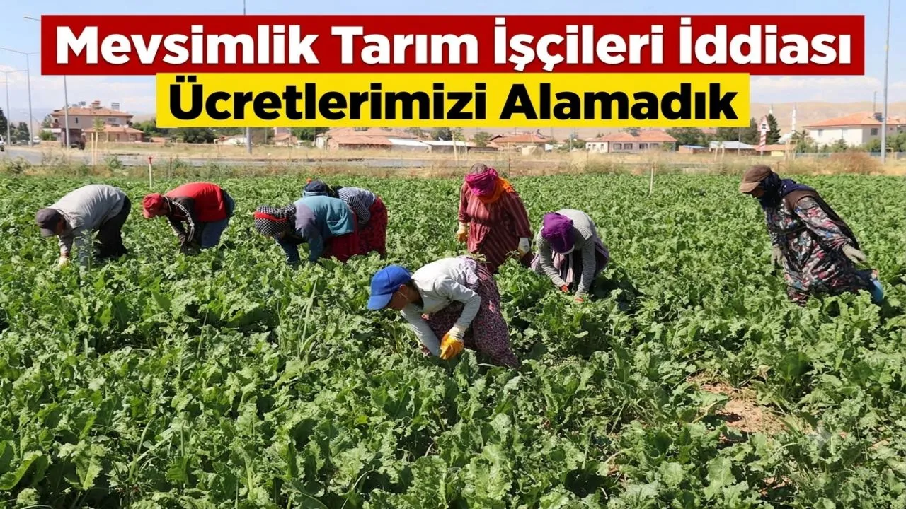 Şanlıurfalı Mevsimlik İşçilerin Ücret İddiası