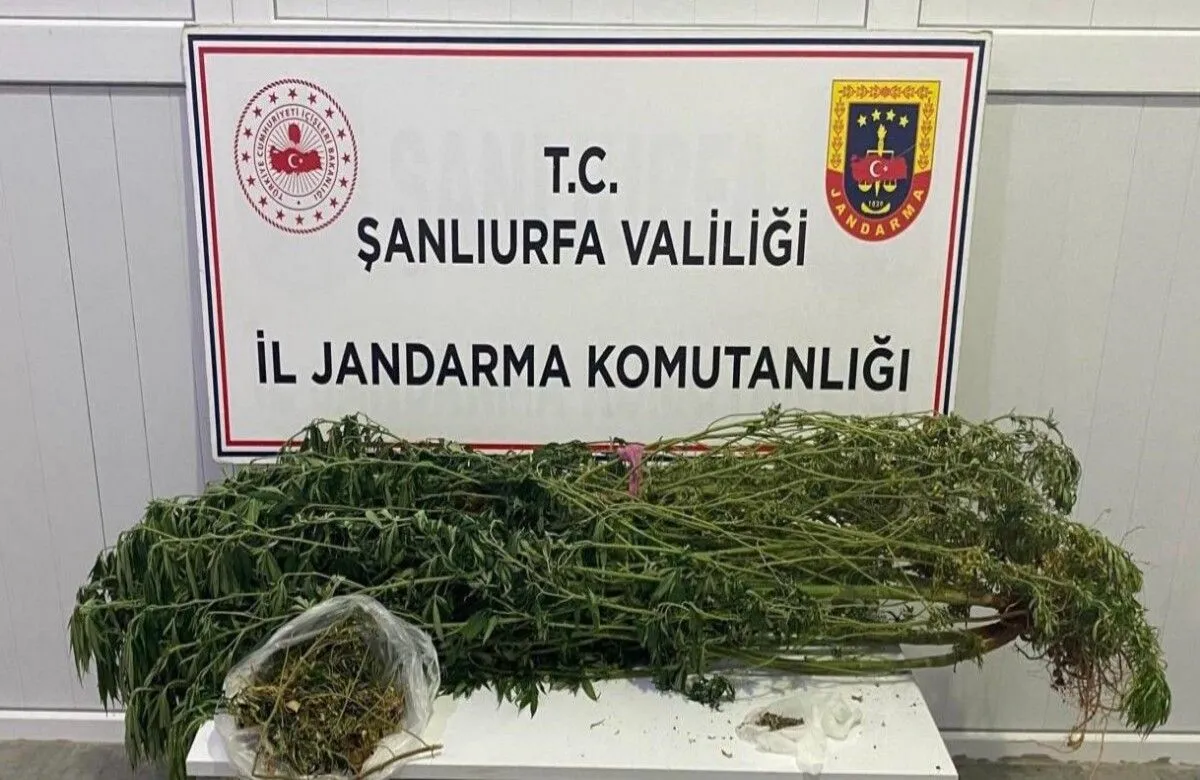 Şanlıurfa'da uyuşturucu operasyonu Onlarca Tutuklama