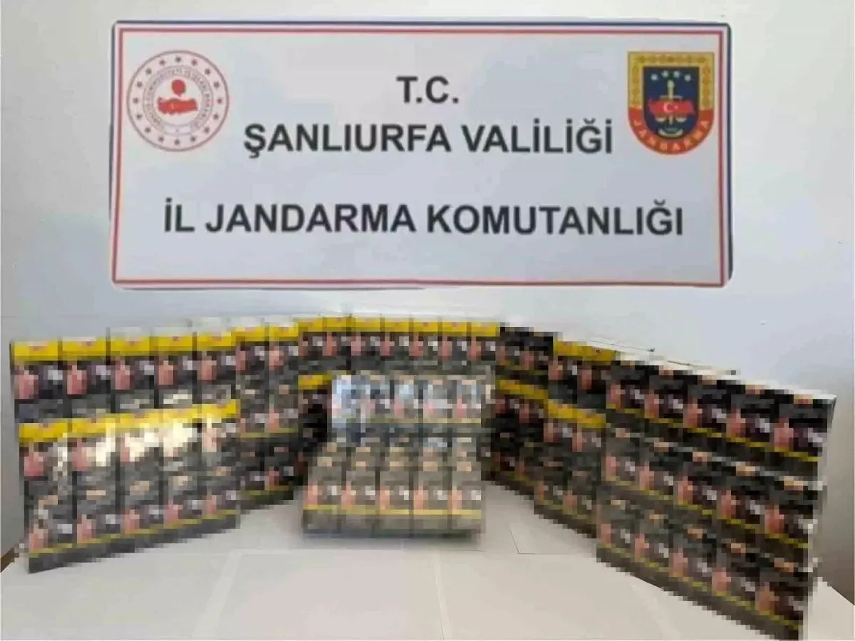 ŞANLIURFADA KAÇAK SİGARA OPERASYONU