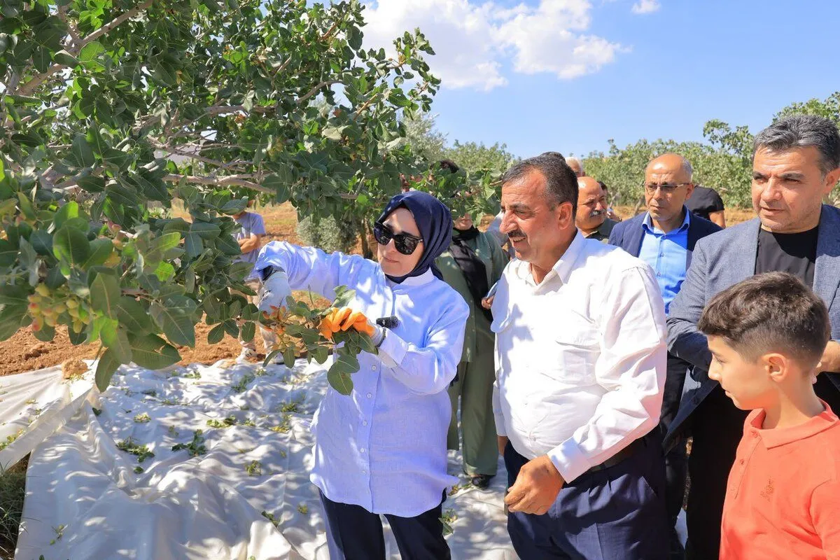 Cevahir Asuman Yazmacı'dan Urfa Fıstığı Hasadı Mesajı