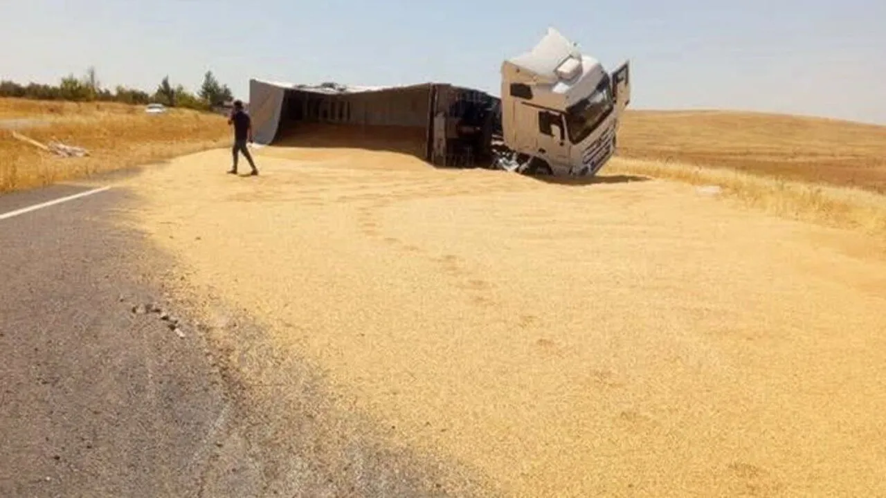 ŞANLIURFA'DA ARPA YÜKLÜ TIR DEVRİLDİ