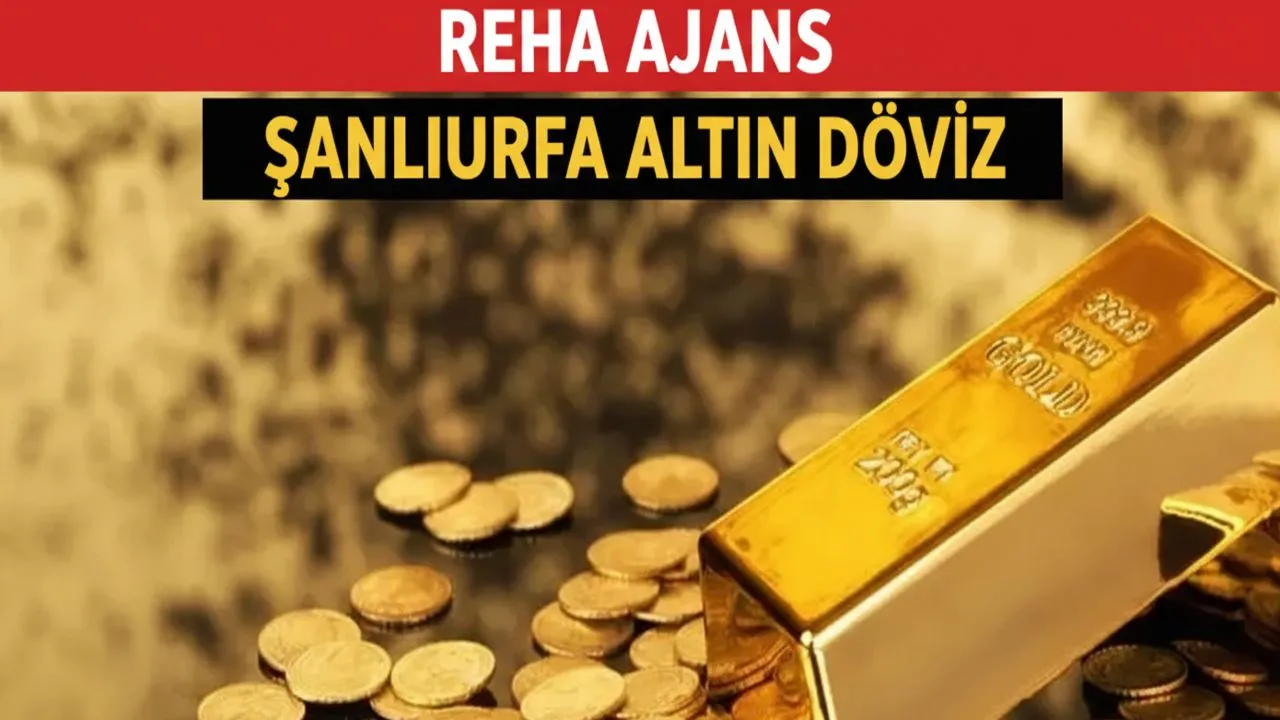 ALTIN VE DÖVİZ PİYASASI