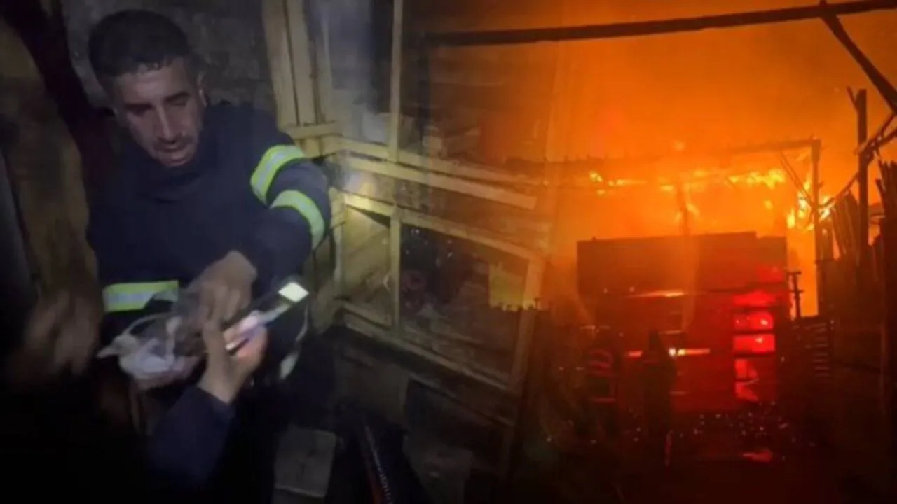 ŞANLIURFA’DA SEYİR HALİNDEKİ TIR ALEV ALEV YANDI