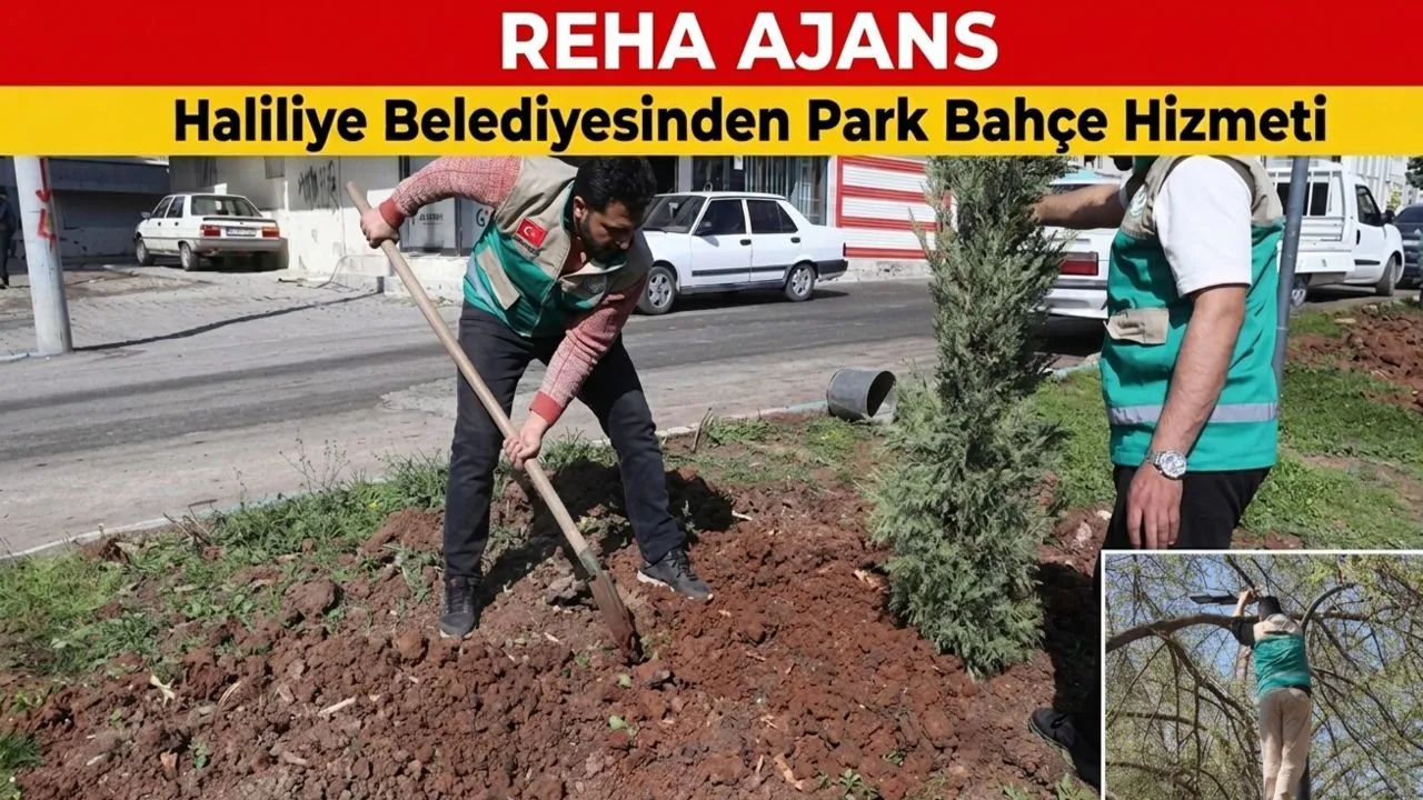 Daha Yeşil Bir Haliliye İçin