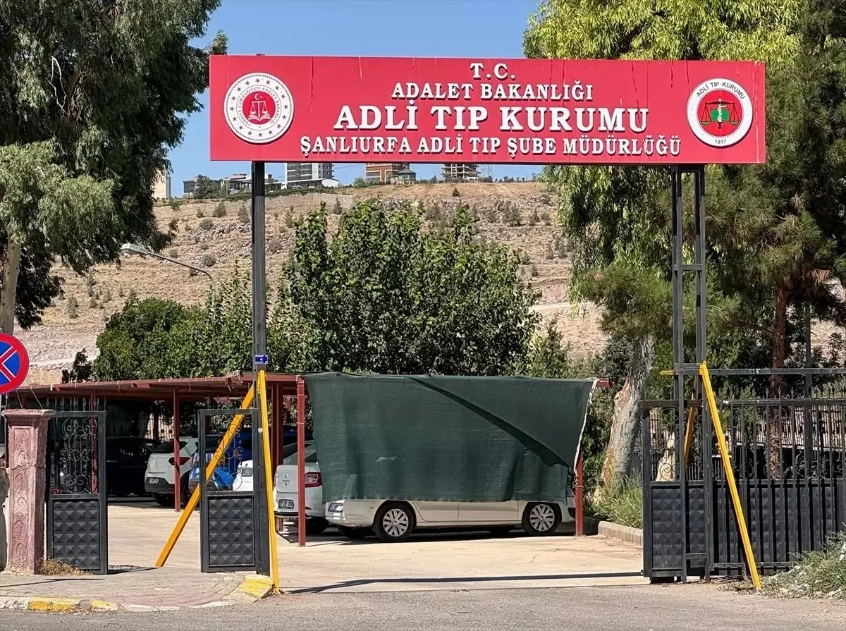 5 yaşındaki Dicle koruma altına alındı