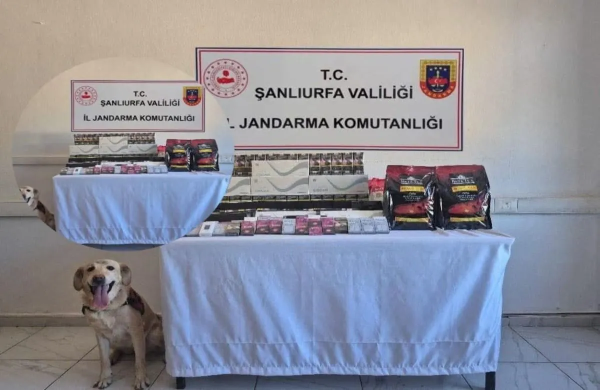 ŞANLIURFADA TÜTÜN VE KAÇAKÇILIK İLE MÜCADELE