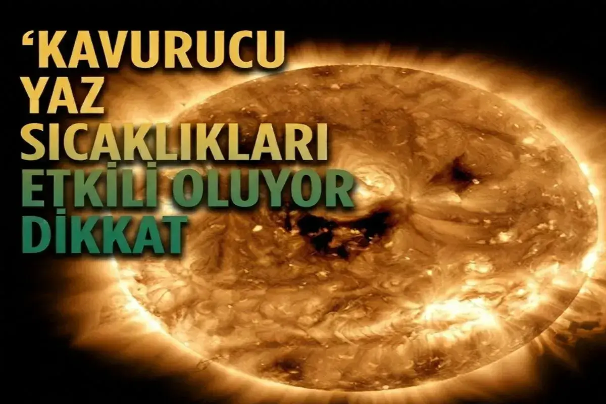 Kavurucu Yaz Sıcaklıları Etkili Oluyor Dikkat